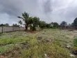 Land for Sale in Kigamboni Ungindoni - 2