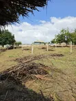 Land for Sale in Kibaha Misugusugu - 2