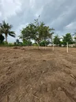 Land for Sale in Kibaha Misugusugu - 3