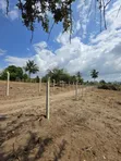 Land for Sale in Kibaha Misugusugu - 4