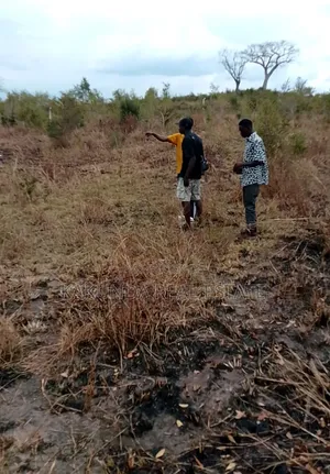 Uwanja Unauzwa Kiluvya, Manzese
