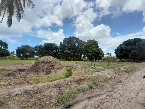 Land for Sale in Kigamboni Kibada Shangwe - 1