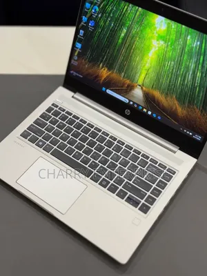 HP ProBook 445 G7 Laptop: Ryzen 5, 8GB RAM, 256GB SSD