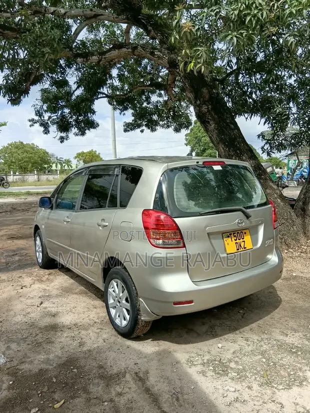 Toyota Corolla Spacio 2008 Silver - 1