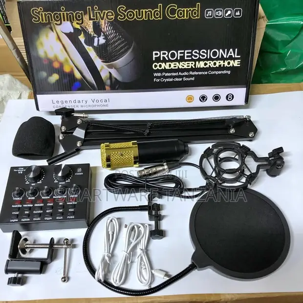 BM-800 Condenser Microphone & Sound Card Bundle - 1