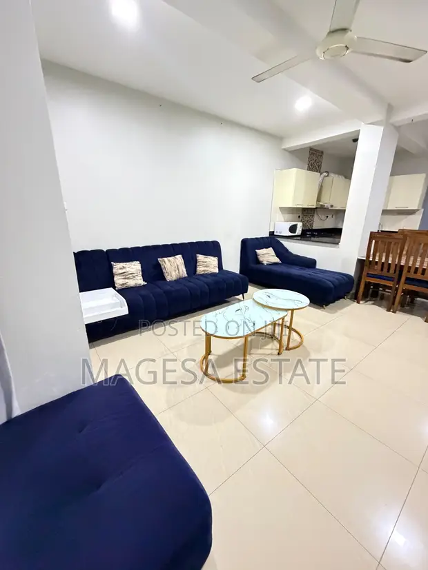 Furnished 2 Bedroom Apartment for Rent in Upanga East - 1