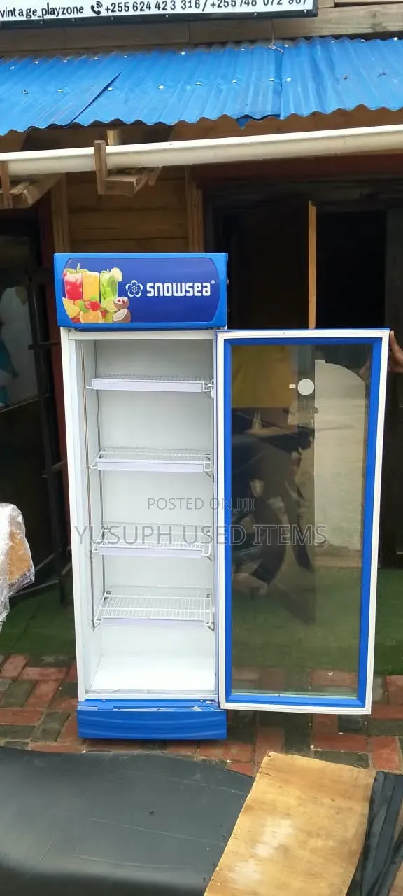 Friji la Kuonesha la Snowsea 258L - 1