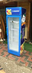 Friji la Kuonesha la Snowsea 258L - 4