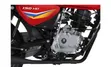 New Bajaj Boxer 150HD Motorcycle - 3