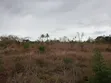 4000 Sqm Land for Sale in Bunju A Mji Mpya - 3