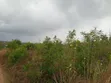 Kiwanja Kinauzwa Bunju A Kinondo - 5