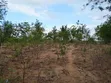 Kiwanja cha Makazi Kinauzwa Bunju A Mji Mpya - 4