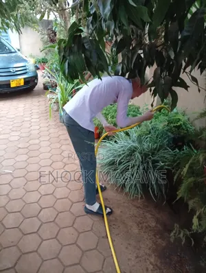 Enock Masawe - Cleaning Services