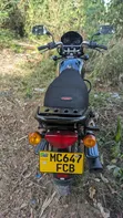 New Bajaj Boxer 125 2026 Black - 4