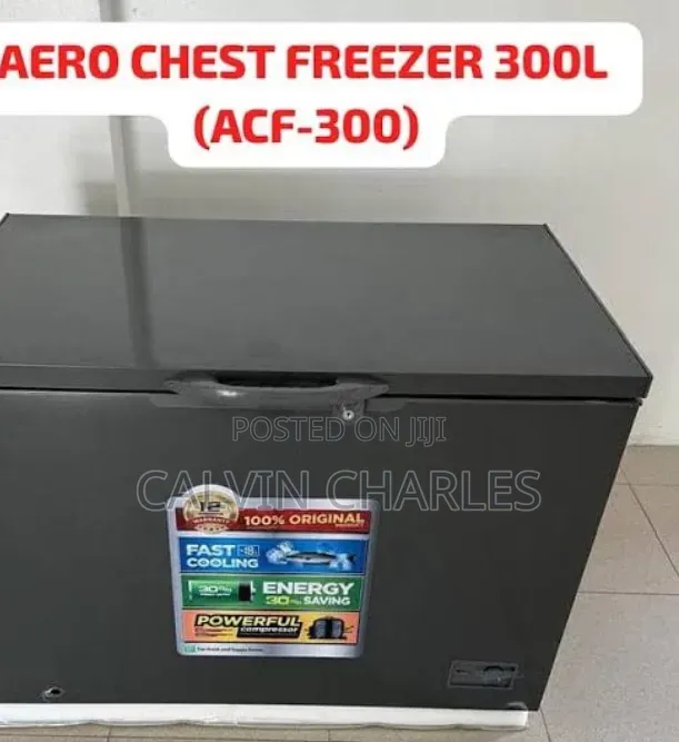 Aero Freezer 300L aina ya Kifua/Showcase - 1