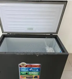 Aero Freezer 300L aina ya Kifua/Showcase