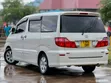 Toyota Alphard 2006 Nyeupe - 5