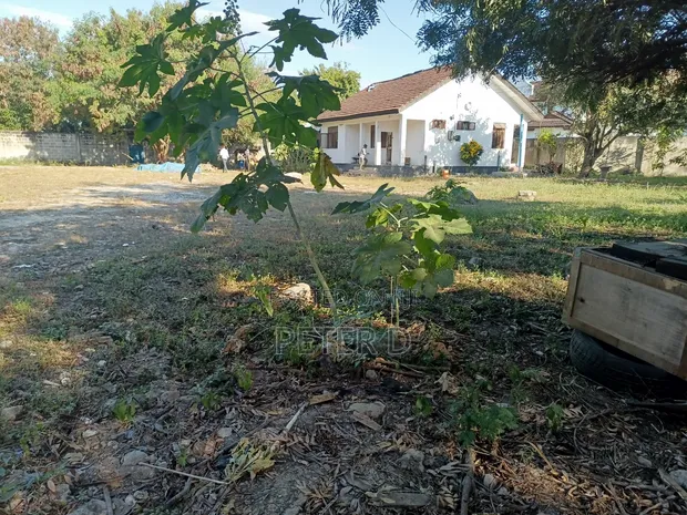 2600sqm Commercial Yard for Rent, Mikocheni - 1