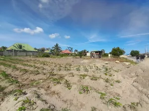 Kiwanja Kinauzwa Kigamboni Kibada Block 15
