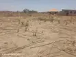Land for Sale in Miyuji, Mpamaa, Dodoma Mjini - 2