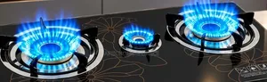 Vozen 3-Plate Gas Stove