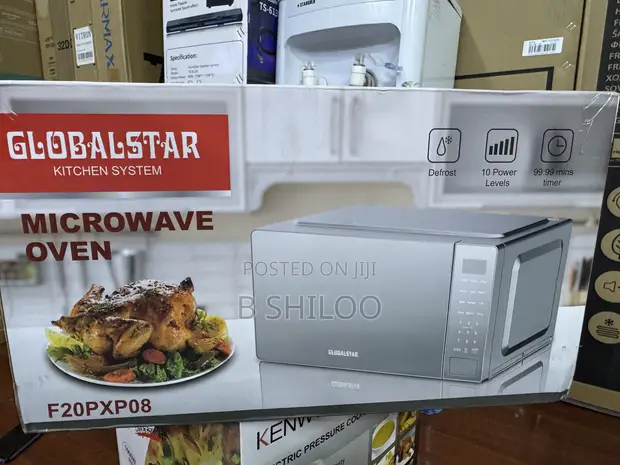 Globalstar Digital Microwave 20L - 1