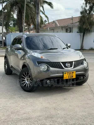 Nissan Juke 2011 Grey