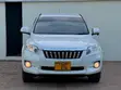 Toyota Vanguard 2011 White - 3