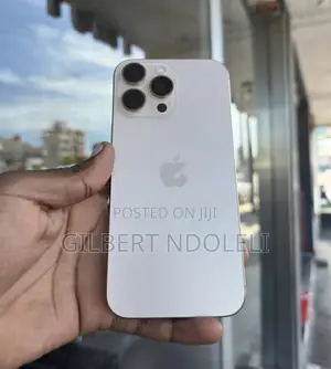 Apple iPhone 16 Pro Max 256GB Gray (Iliyo tumika)
