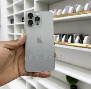 Apple iPhone 15 Pro Max 256GB Gray