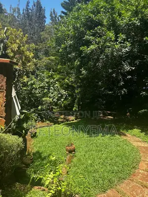 Kiwanja Riara Road Lavington