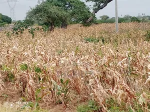 23 Acres Land for Sale in Gongoni, Malindi