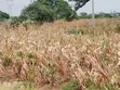 Eneo la Eka 23 kwa Uuzaji Gongoni, Malindi - 1