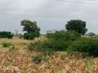 Eneo la Eka 23 kwa Uuzaji Gongoni, Malindi - 2