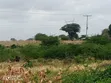 Eneo la Eka 23 kwa Uuzaji Gongoni, Malindi - 3