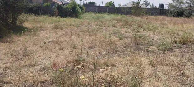 1/4 Acre Plot for Sale in Ruai (100x100) - 1