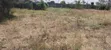 1/4 Acre Plot for Sale in Ruai (100x100) - 1