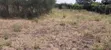 1/4 Acre Plot for Sale in Ruai (100x100) - 3