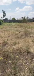1/4 Acre Plot for Sale in Ruai (100x100) - 4