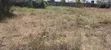 1/4 Acre Plot for Sale in Ruai (100x100) - 5