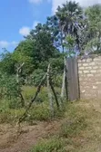 70x100ft Prime Land for Sale in Mtwapa - 3