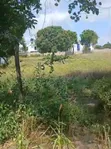 70x100ft Prime Land for Sale in Mtwapa - 4