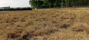 Kiwanja Kizuri Kinauzwa