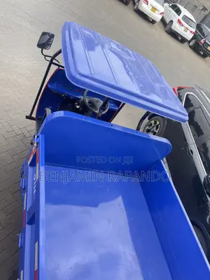 Shifeng Diesel Cargo Tricycle Tipper