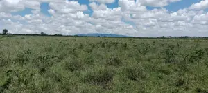 20 Acre Parcel Off Kiserian-Isinya Road