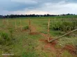 Eldoret Illula Plot ya 1/8 Acre Inauzwa - 1