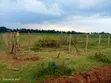 Eldoret Illula Plot ya 1/8 Acre Inauzwa - 2