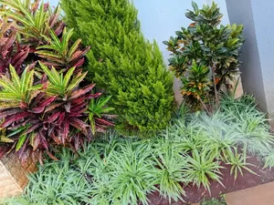 Gardening and Cleaning Services