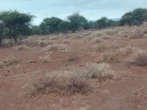 Eneo Kubwa la Ekari 60 Linauzwa Amboseli
