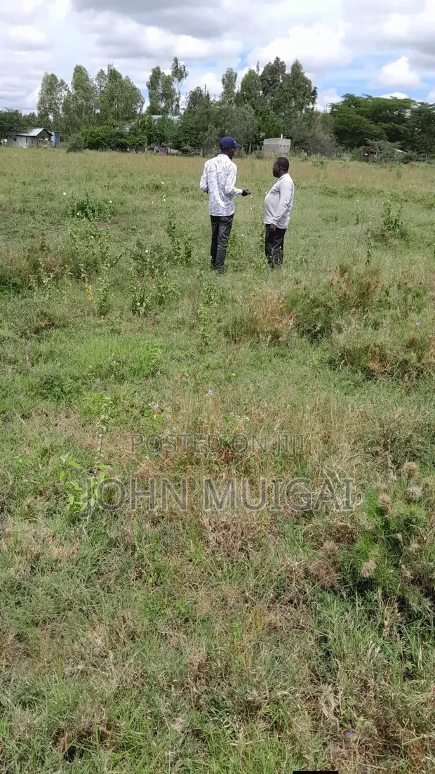 Ngong Prime Plots for Sale - 1 Acre - 1